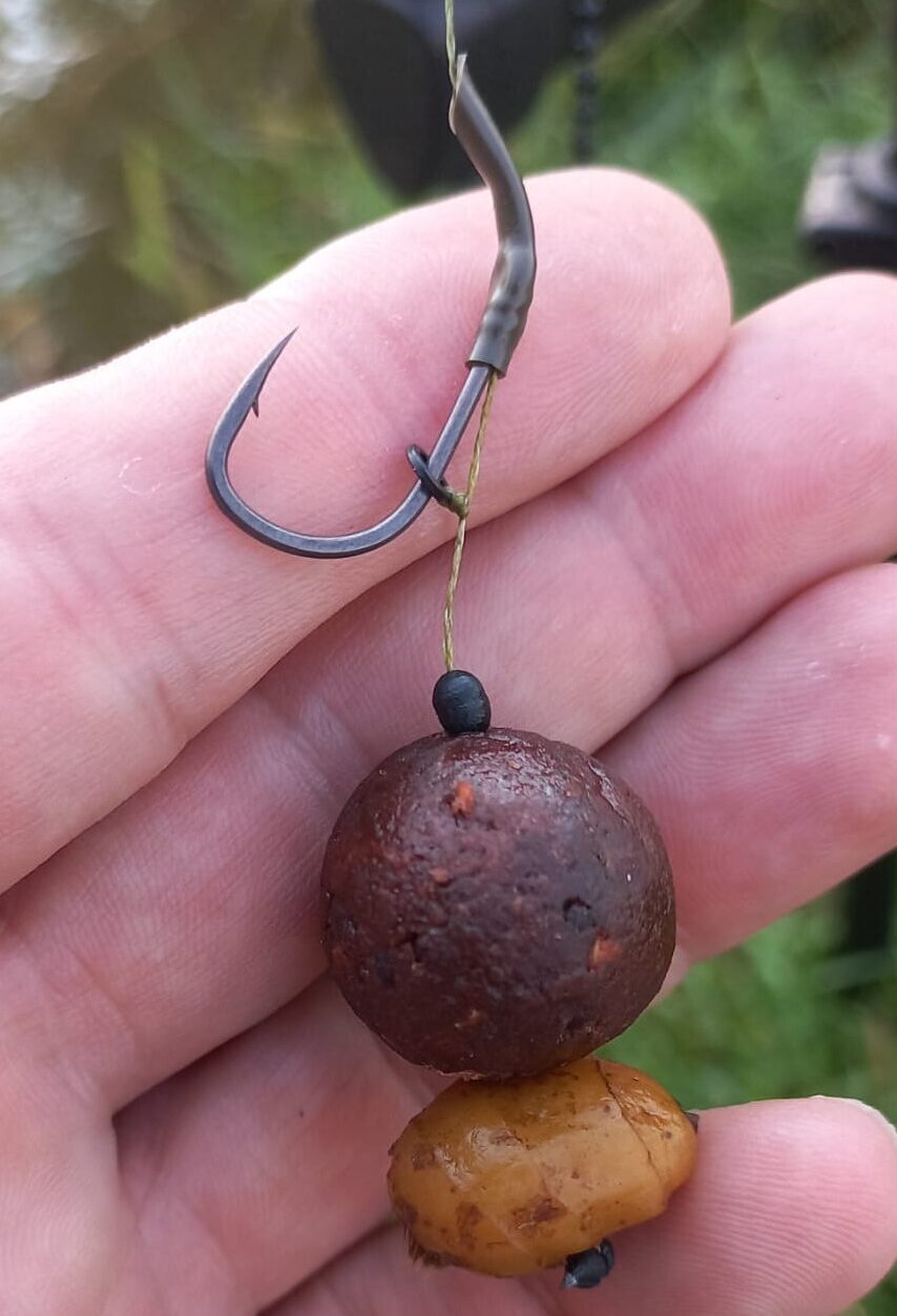 Przypon Karpiowy (1 szt.) Blow Back Rig – Korda Wide Gape X – 25lb – długi włos